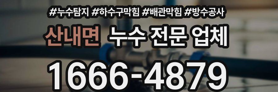 산내면 누수 전문 업체