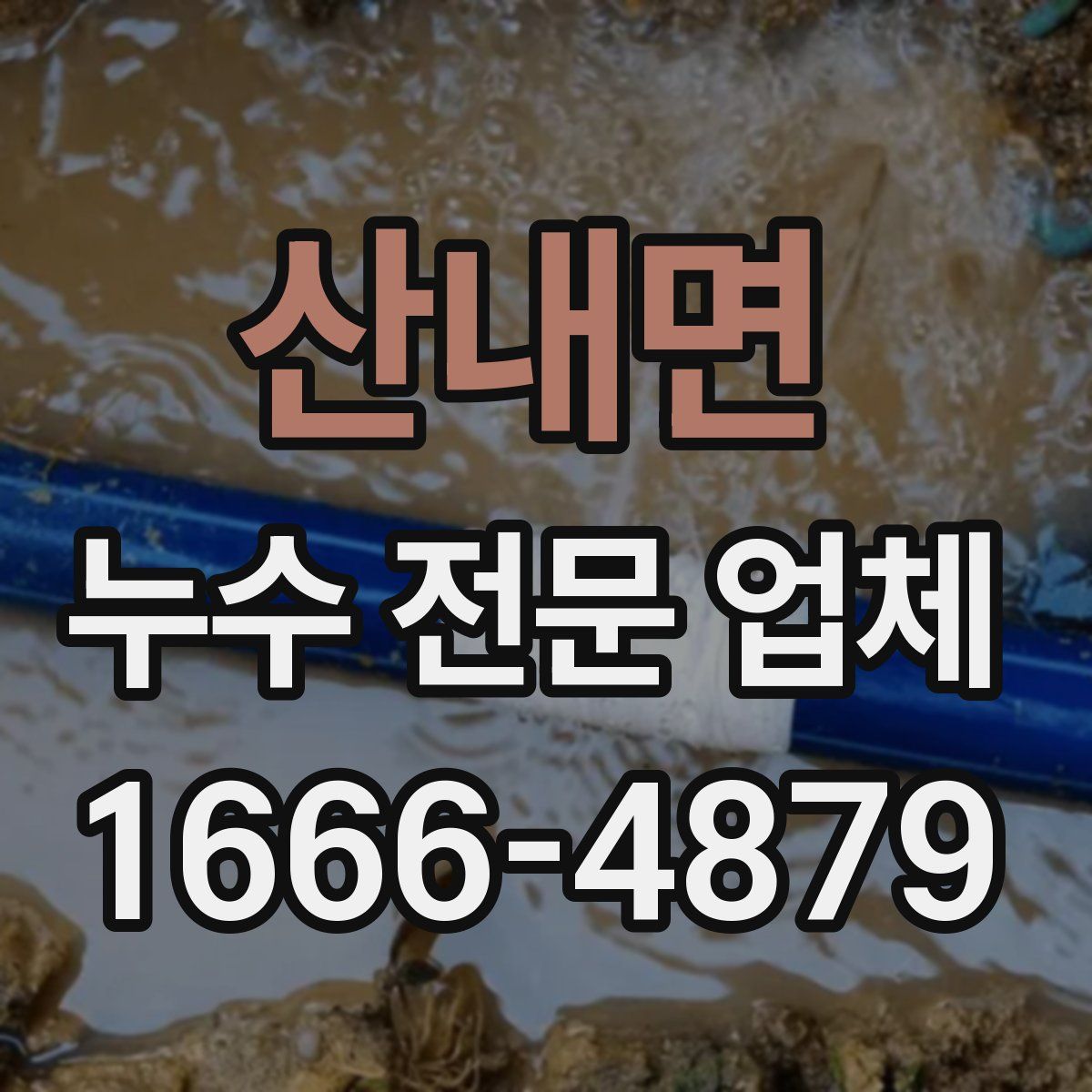 산내면 누수 전문 업체