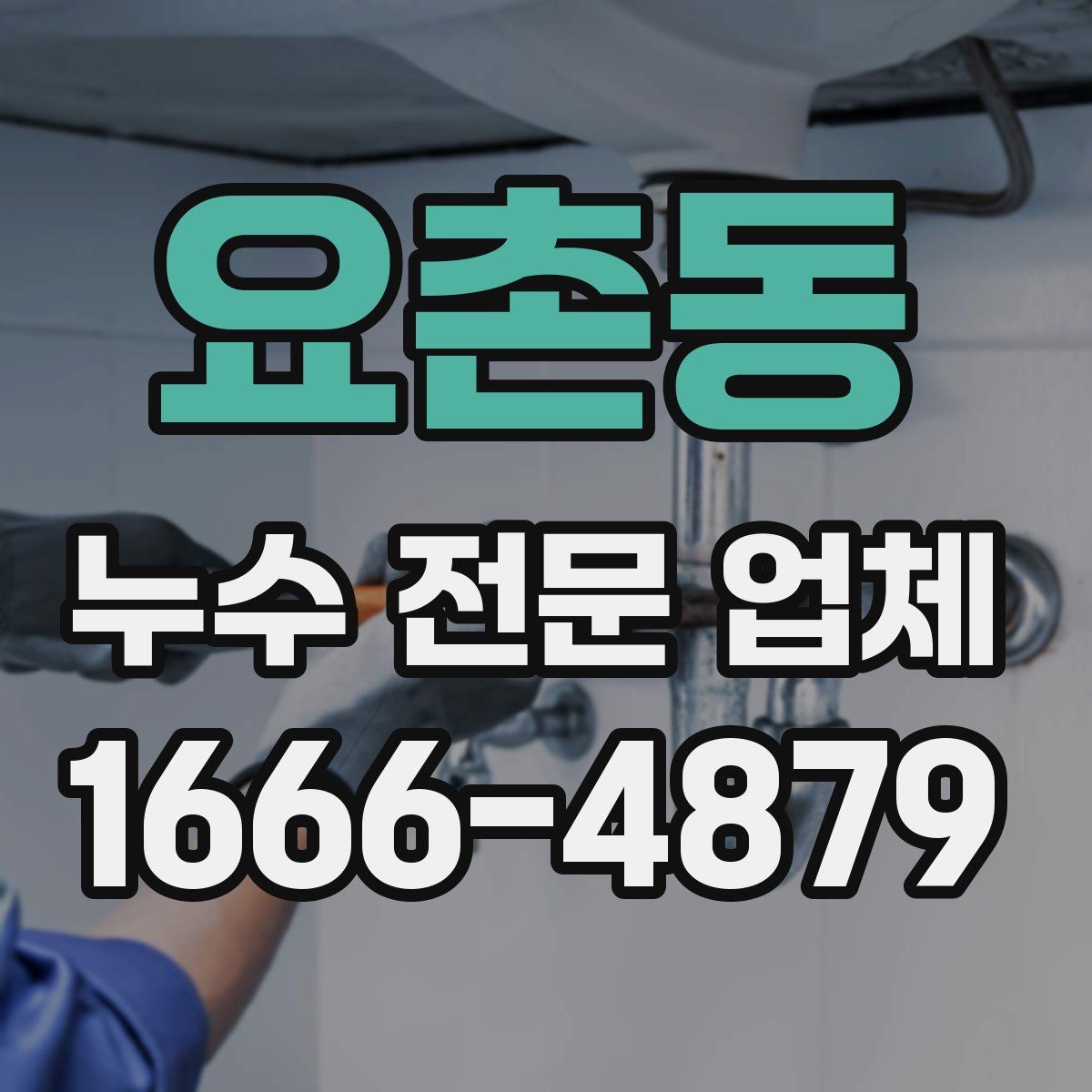 요촌동 누수 전문 업체