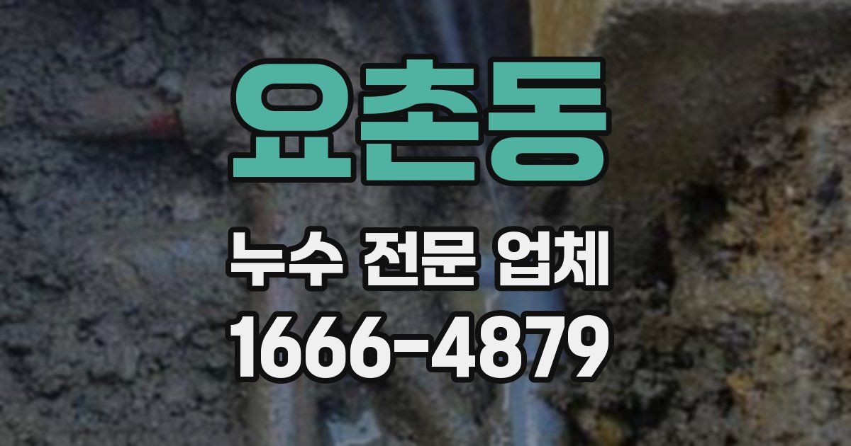 요촌동 누수 전문 업체