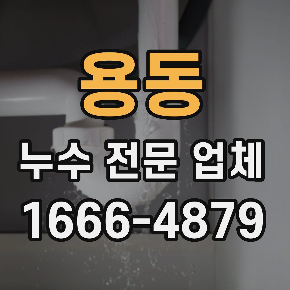 용동 누수 전문 업체