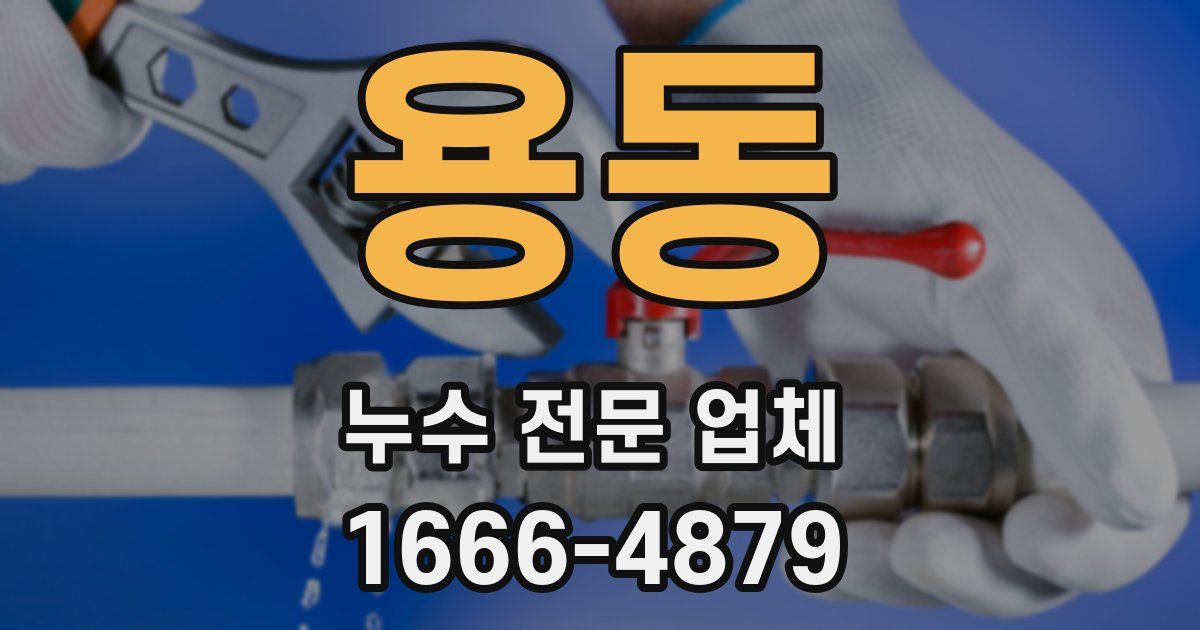 용동 누수 전문 업체