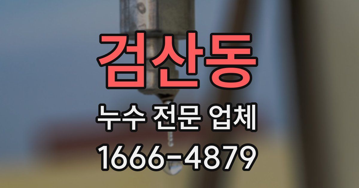 검산동 누수 전문 업체