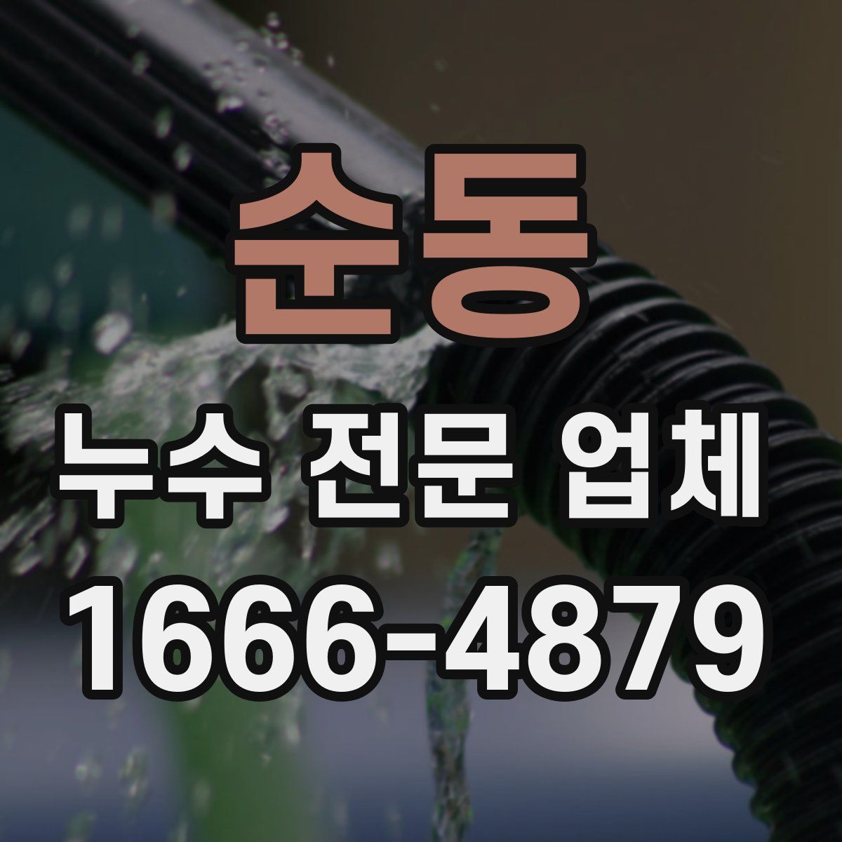 순동 누수 전문 업체