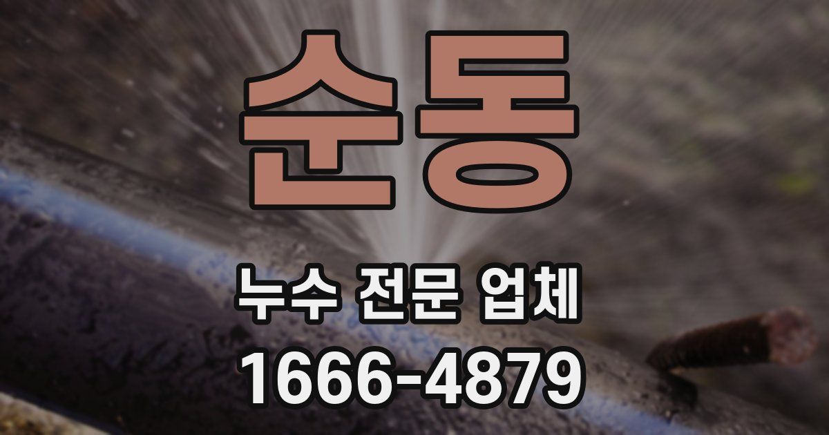 순동 누수 전문 업체