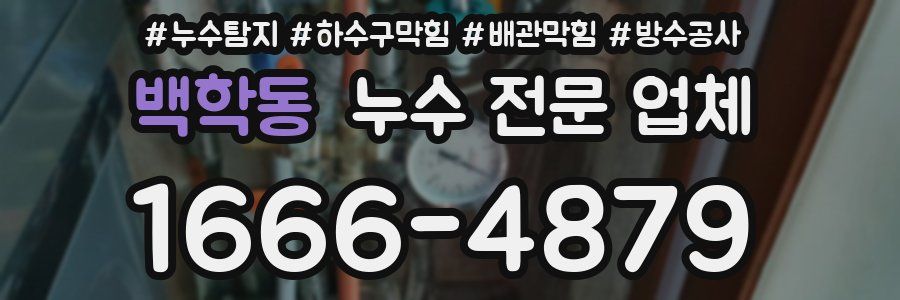백학동 누수 전문 업체