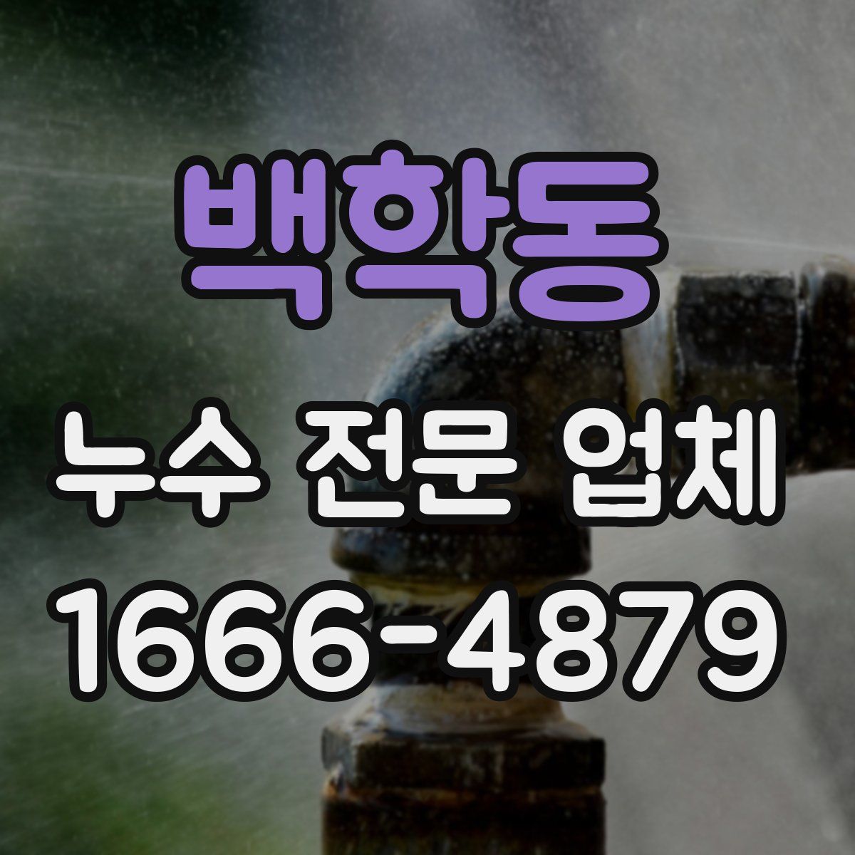 백학동 누수 전문 업체