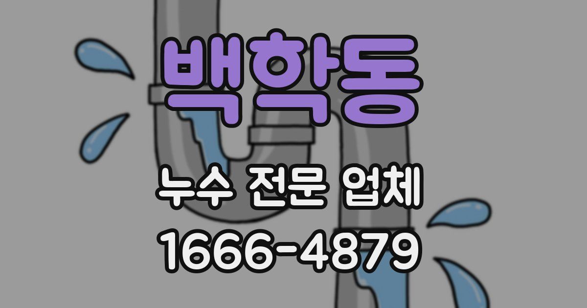 백학동 누수 전문 업체