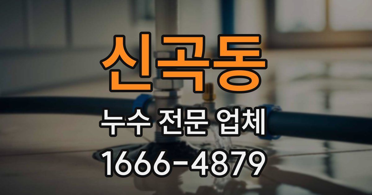 신곡동 누수 전문 업체