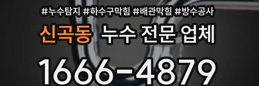 신곡동 누수 전문 업체