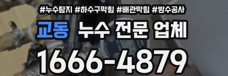 교동 누수 전문 업체