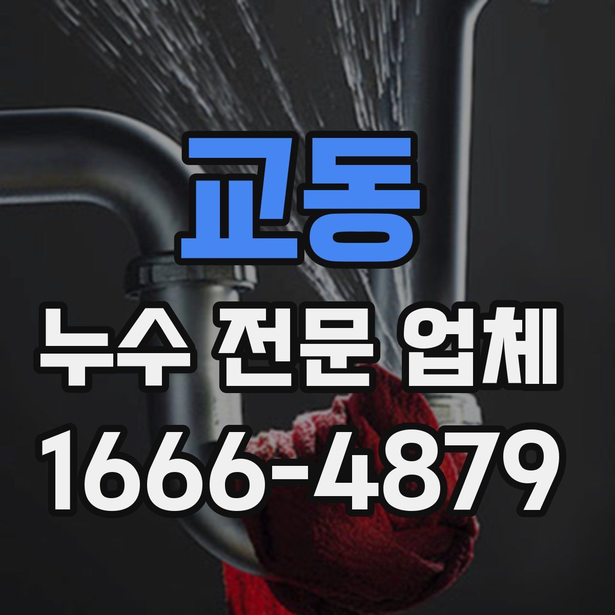 교동 누수 전문 업체