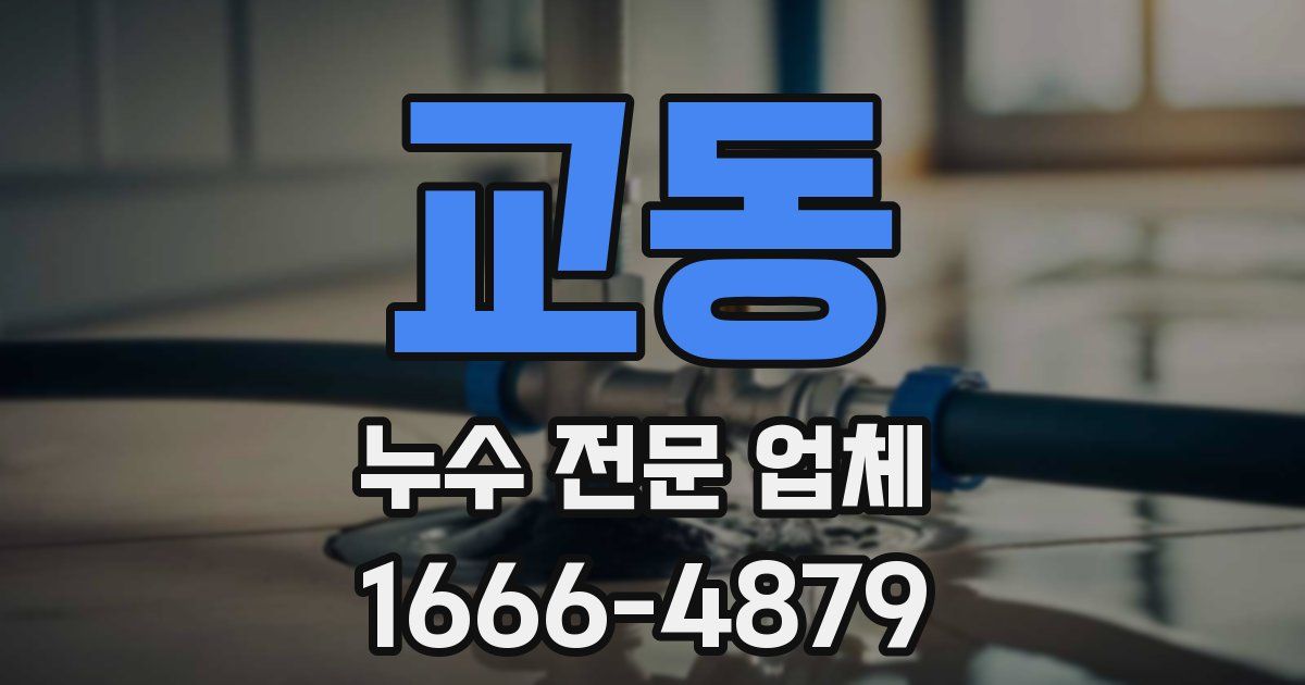 교동 누수 전문 업체
