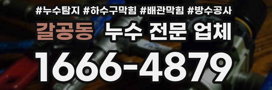 갈공동 누수 전문 업체
