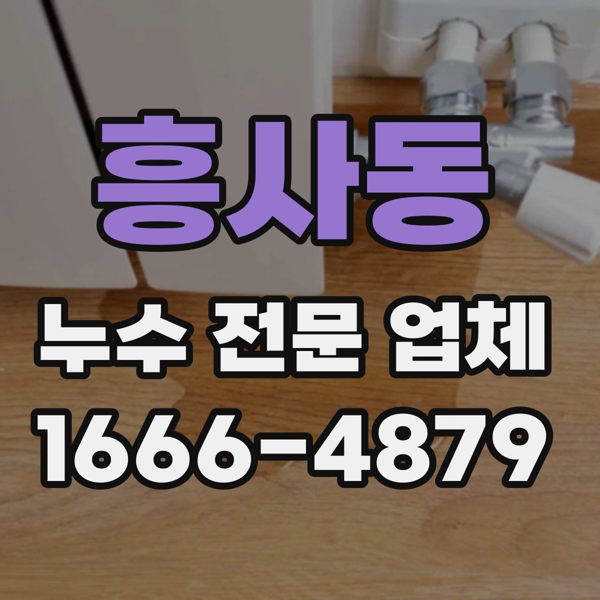 흥사동 누수 전문 업체