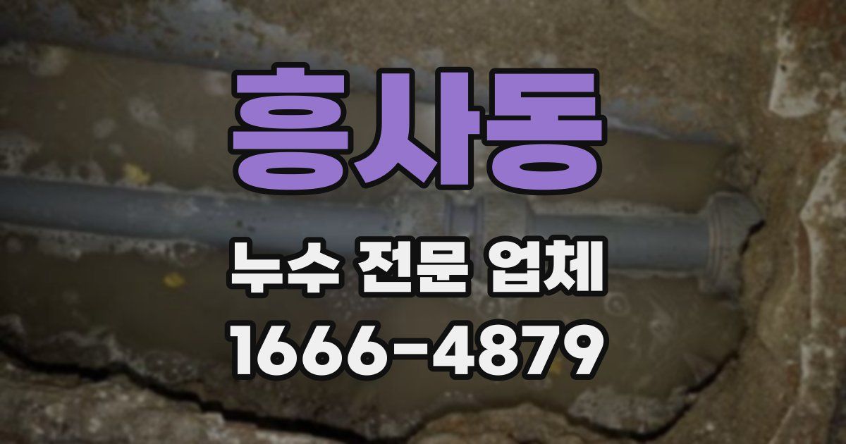 흥사동 누수 전문 업체