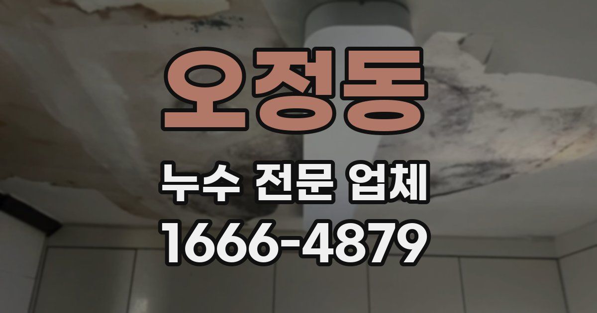 오정동 누수 전문 업체