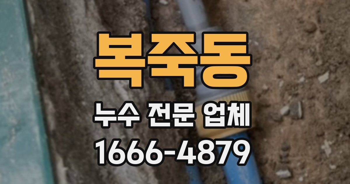복죽동 누수 전문 업체
