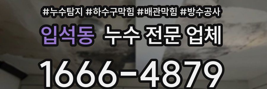 입석동 누수 전문 업체