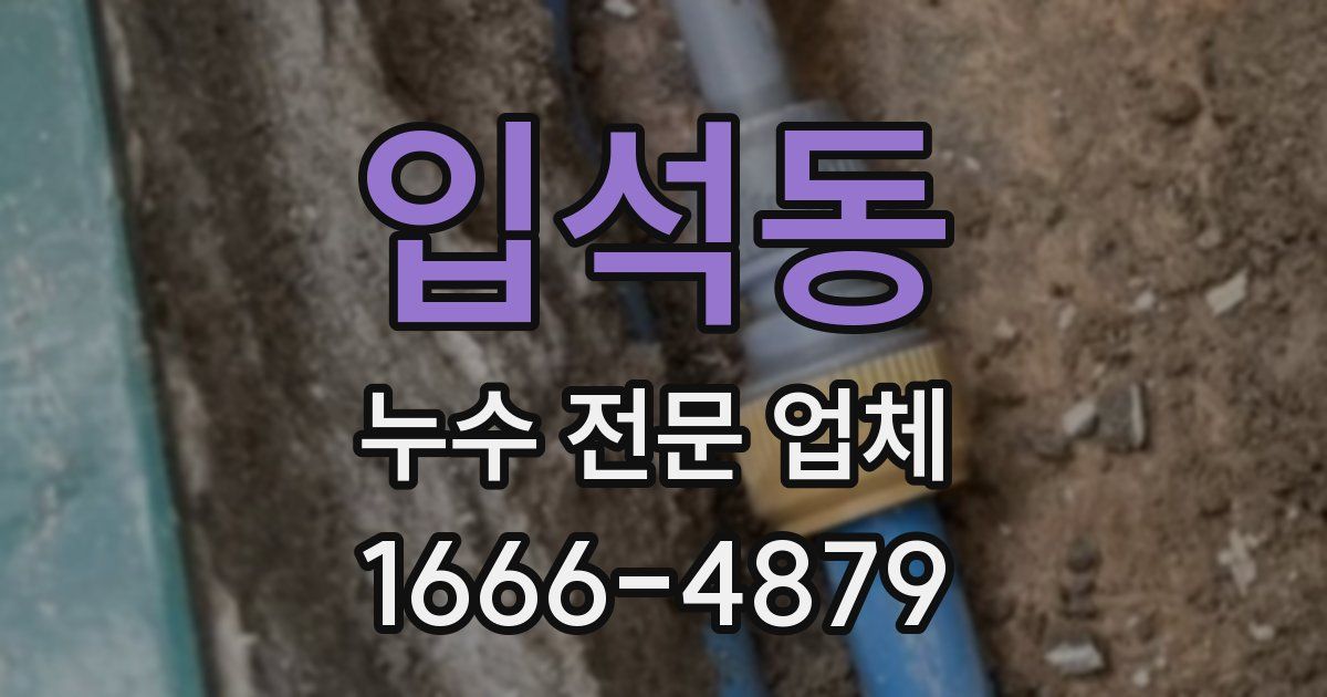 입석동 누수 전문 업체