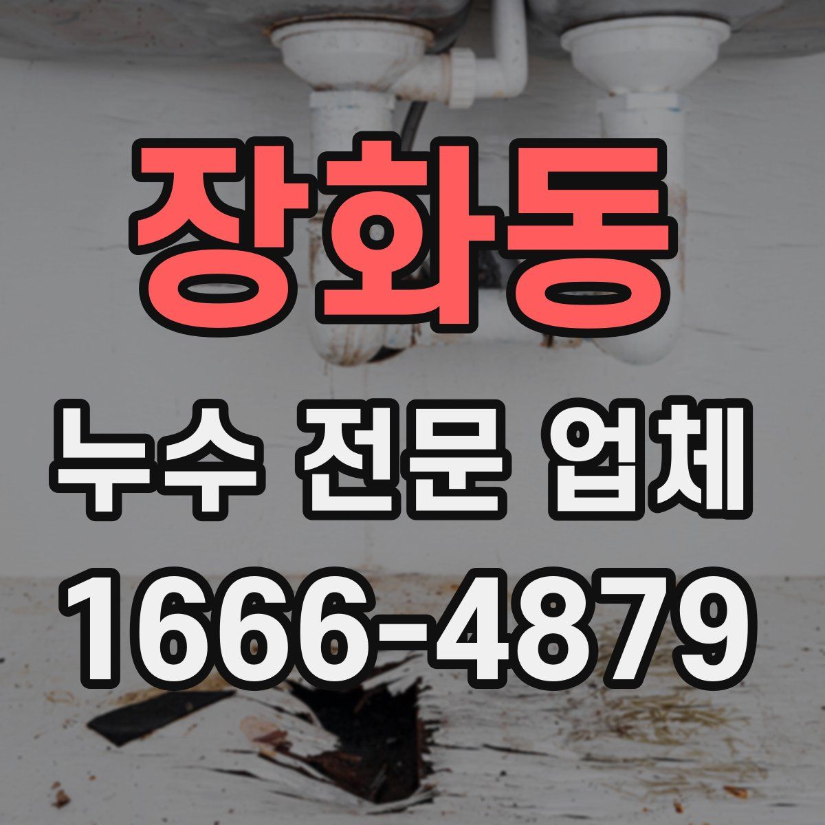 장화동 누수 전문 업체