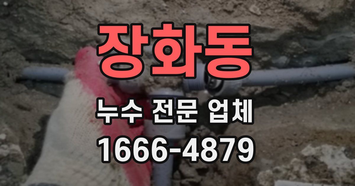 장화동 누수 전문 업체
