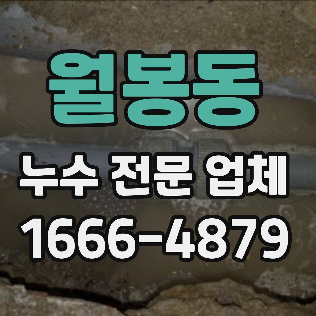 월봉동 누수 전문 업체