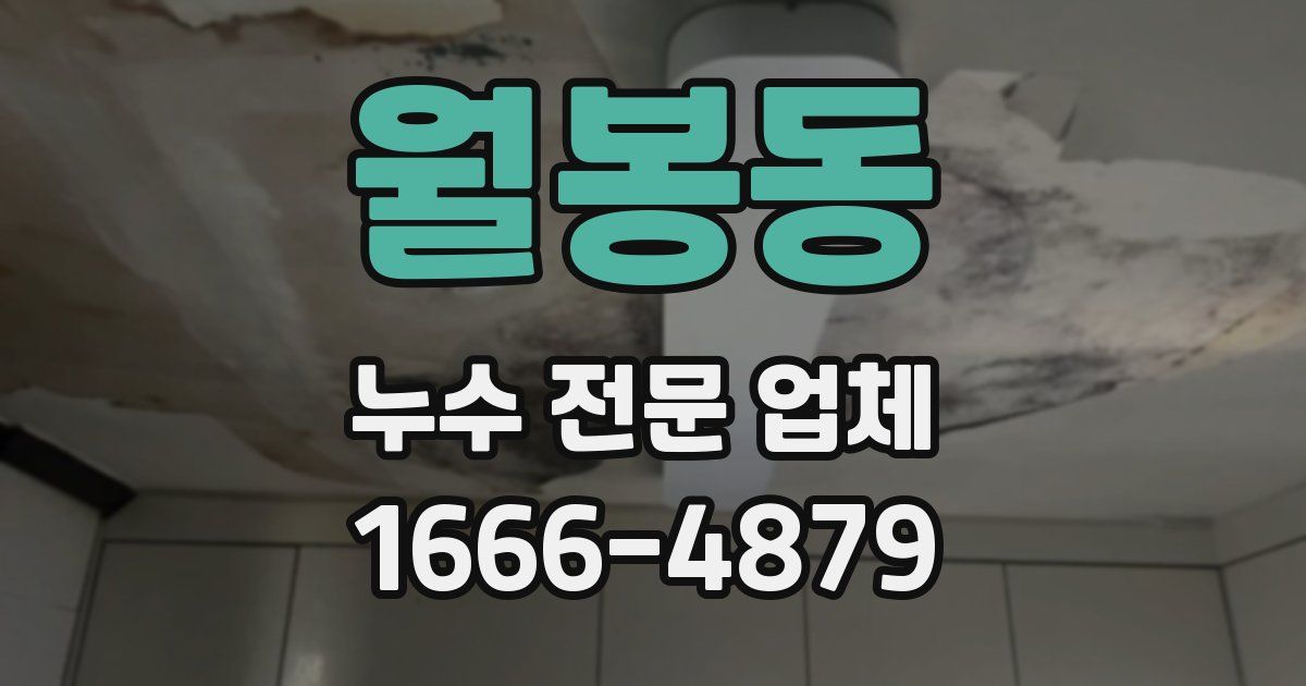 월봉동 누수 전문 업체