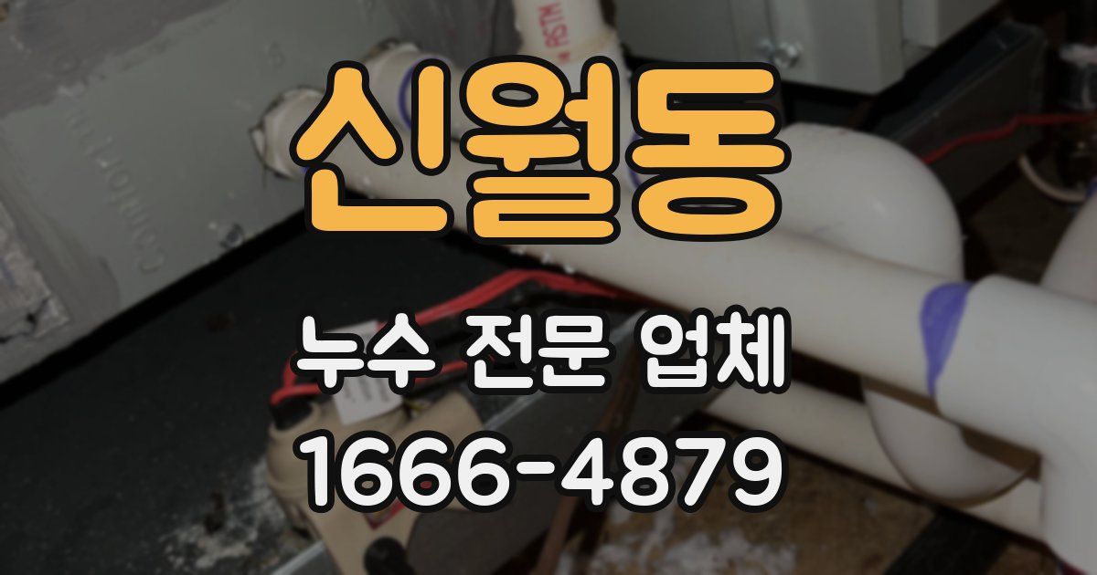 신월동 누수 전문 업체