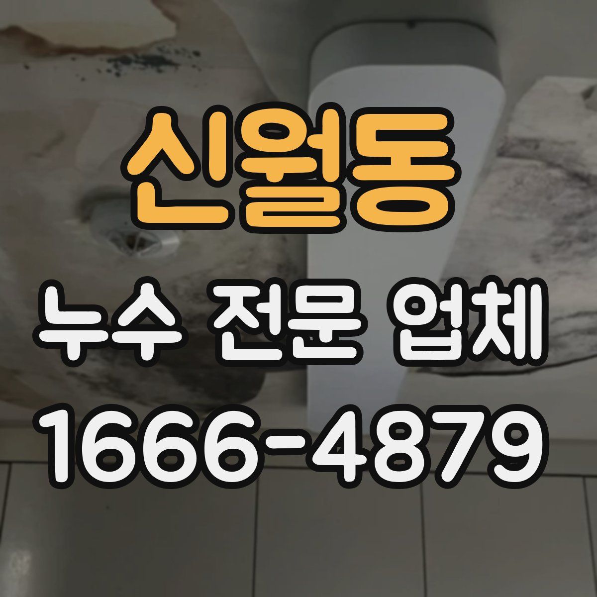신월동 누수 전문 업체