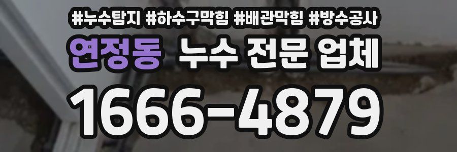 연정동 누수 전문 업체