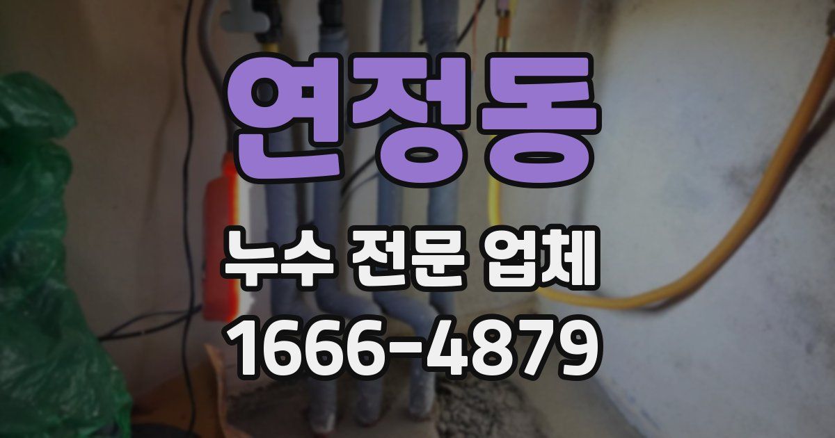 연정동 누수 전문 업체