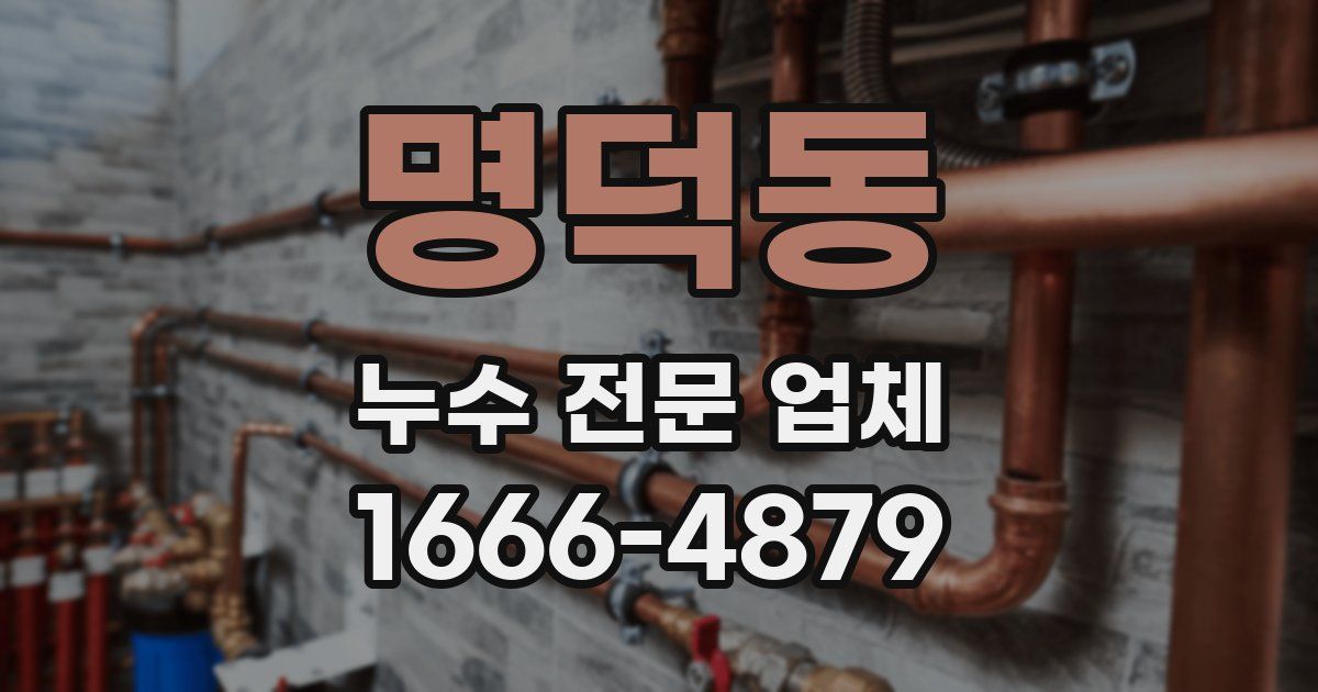 명덕동 누수 전문 업체