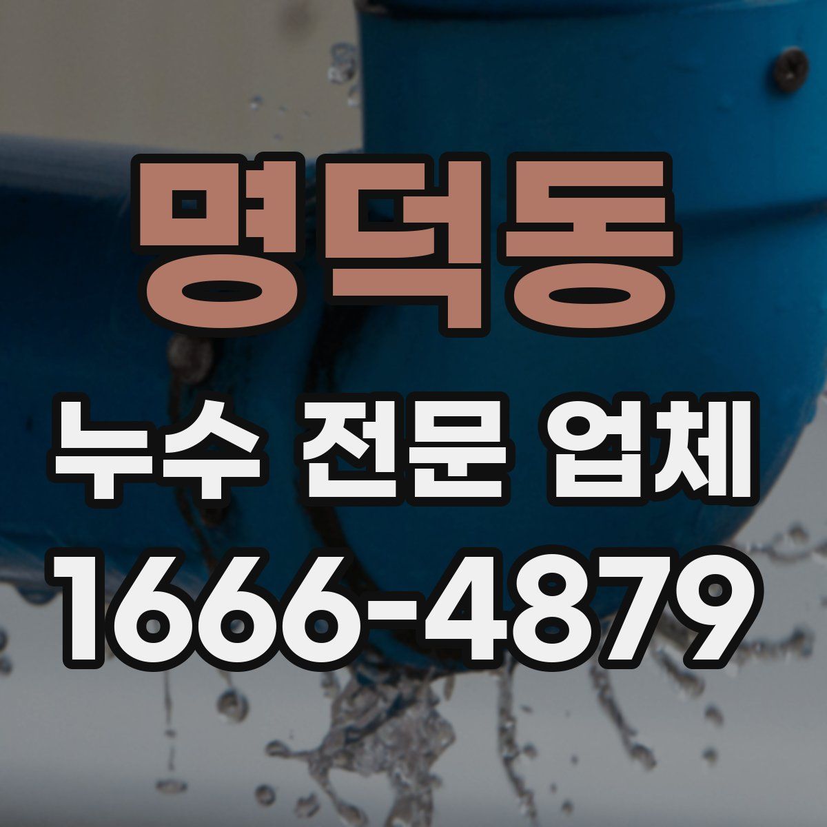 명덕동 누수 전문 업체