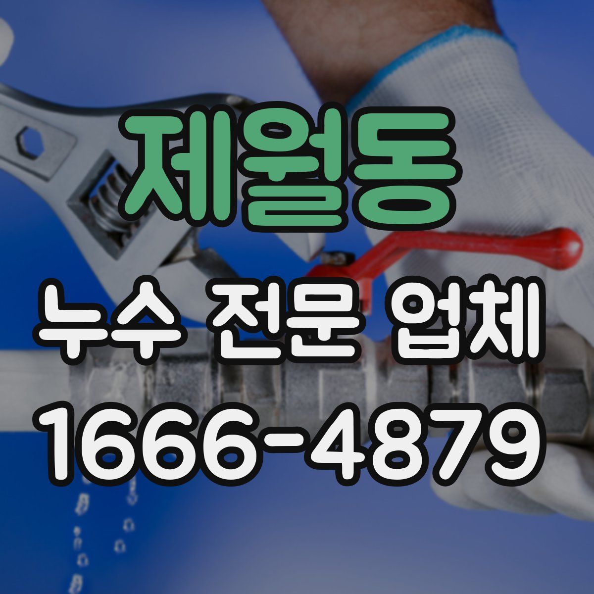 제월동 누수 전문 업체