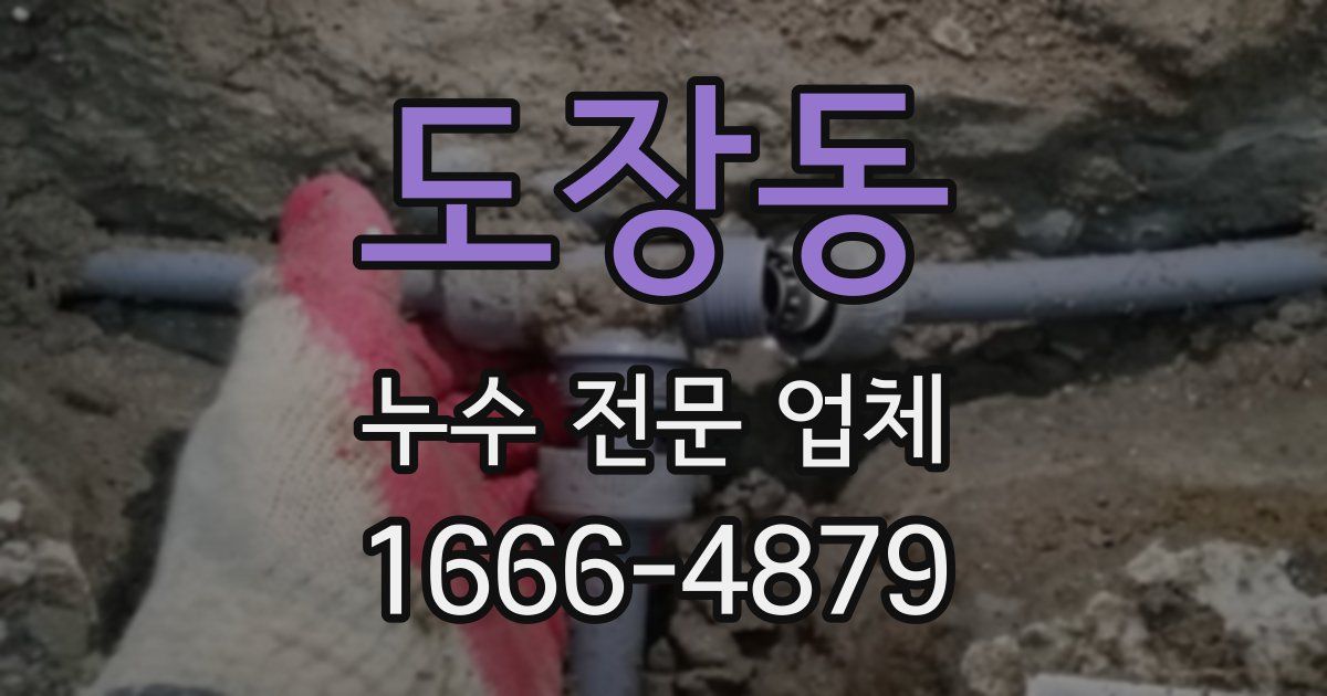도장동 누수 전문 업체
