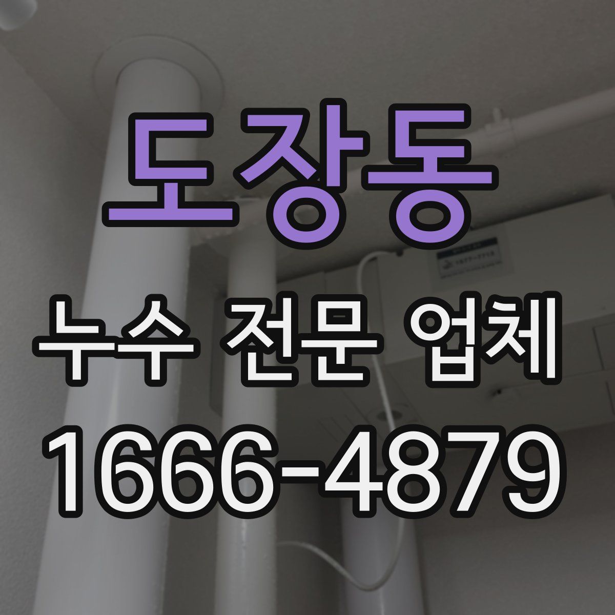 도장동 누수 전문 업체