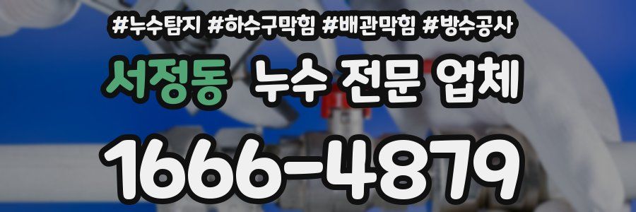 서정동 누수 전문 업체