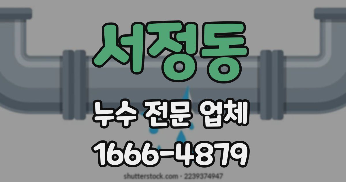 서정동 누수 전문 업체