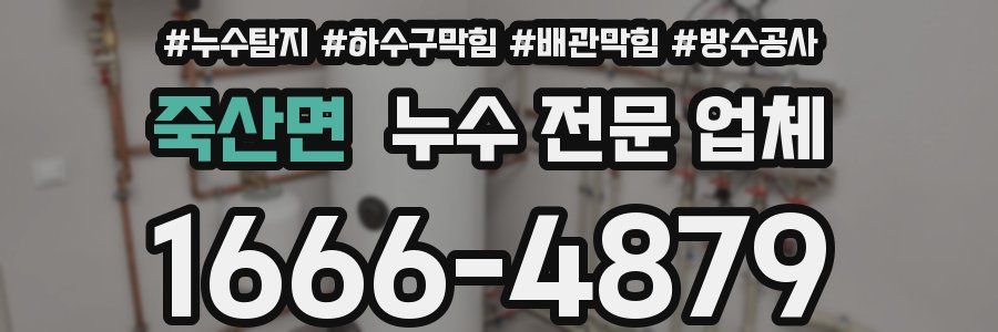 죽산면 누수 전문 업체