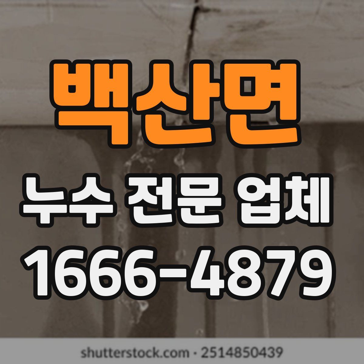 백산면 누수 전문 업체