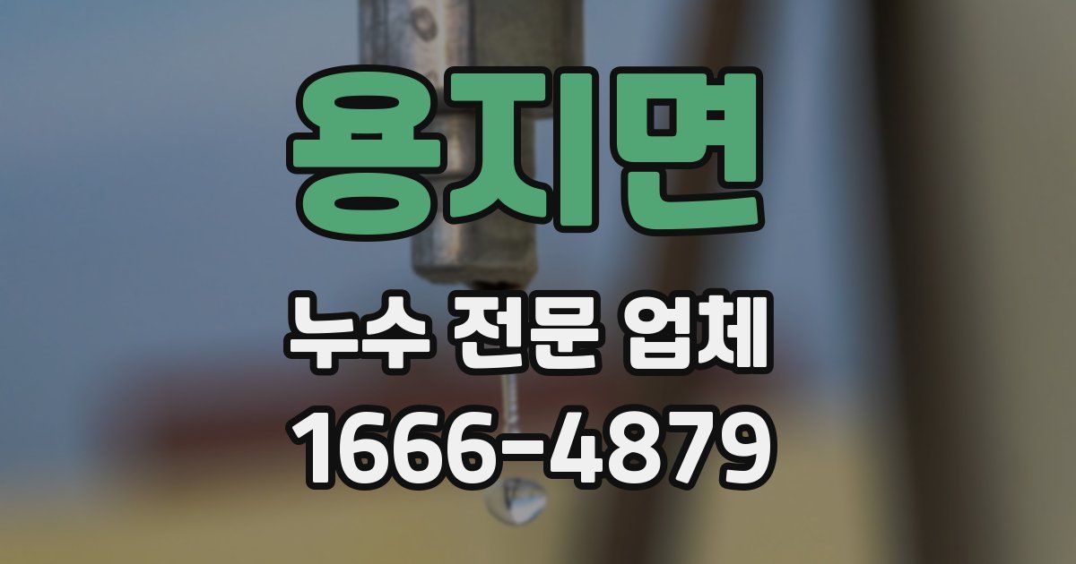 용지면 누수 전문 업체