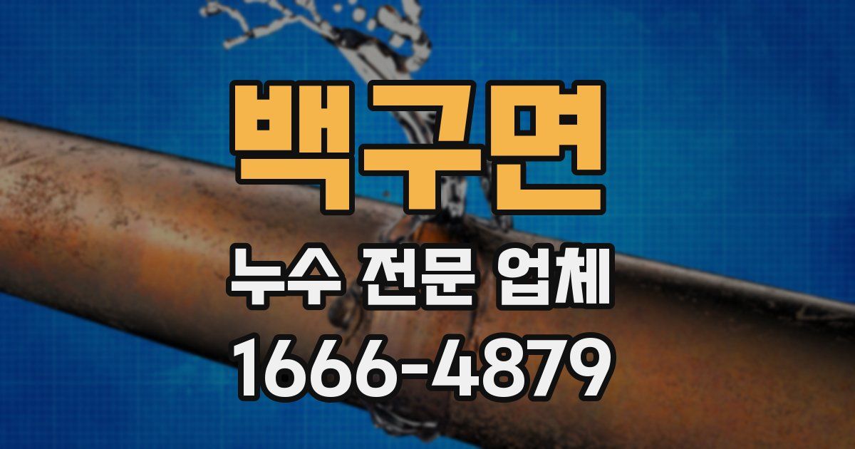 백구면 누수 전문 업체