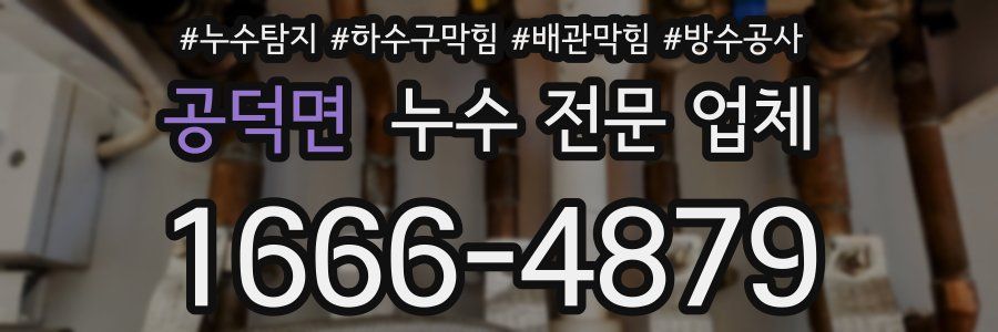 공덕면 누수 전문 업체
