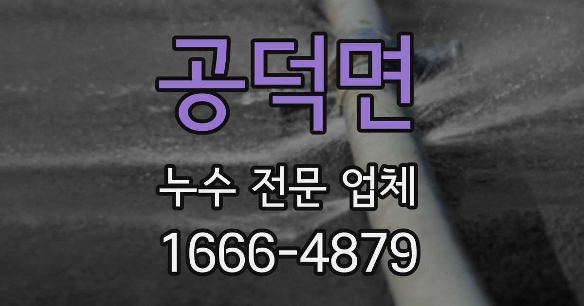 공덕면 누수 전문 업체