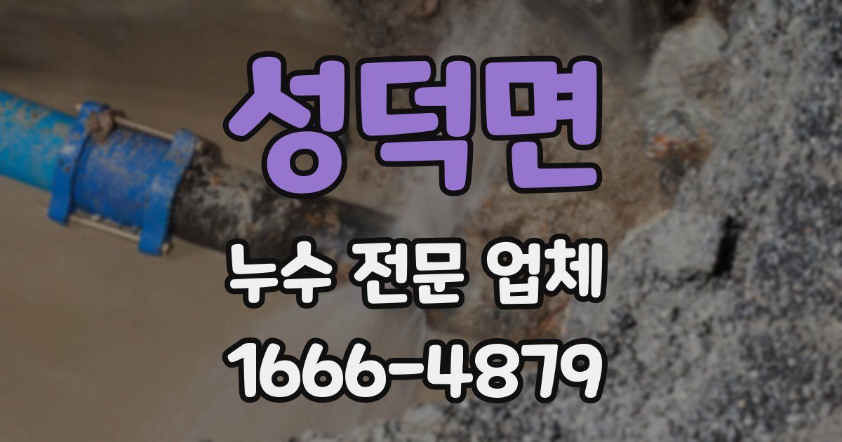 성덕면 누수 전문 업체