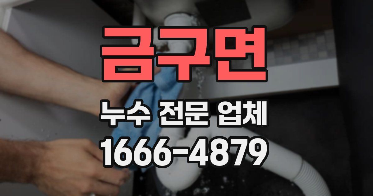 금구면 누수 전문 업체