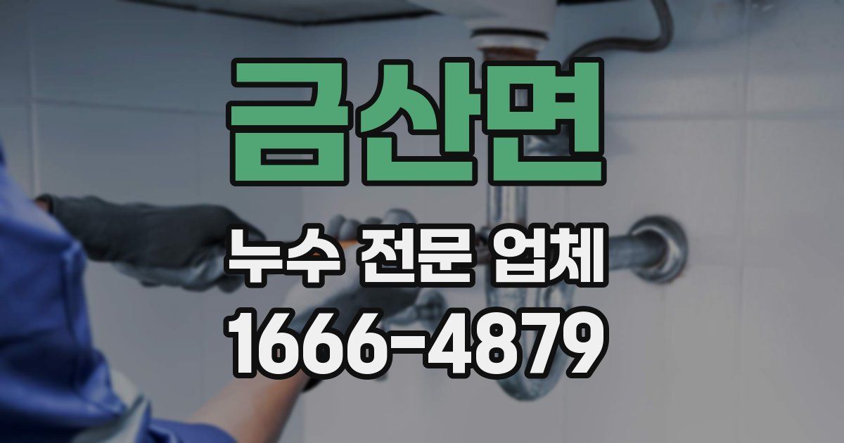 금산면 누수 전문 업체