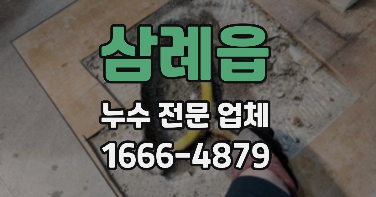 삼례읍 누수 전문 업체
