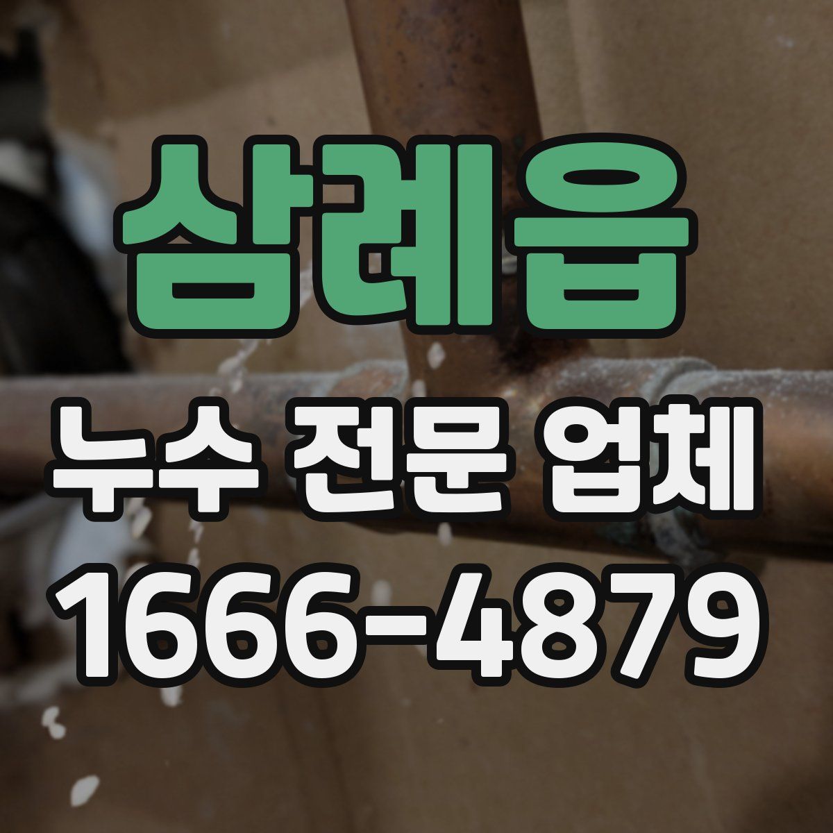 삼례읍 누수 전문 업체